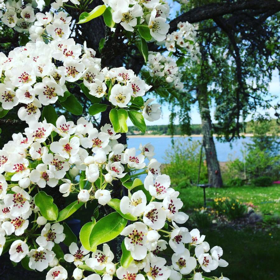 B&B Direktörsvillan Oaxen Mörkö Exteriör bild